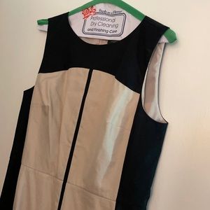 Ann Taylor A-line sleek dress